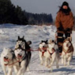 Meet your Posher, Bonz